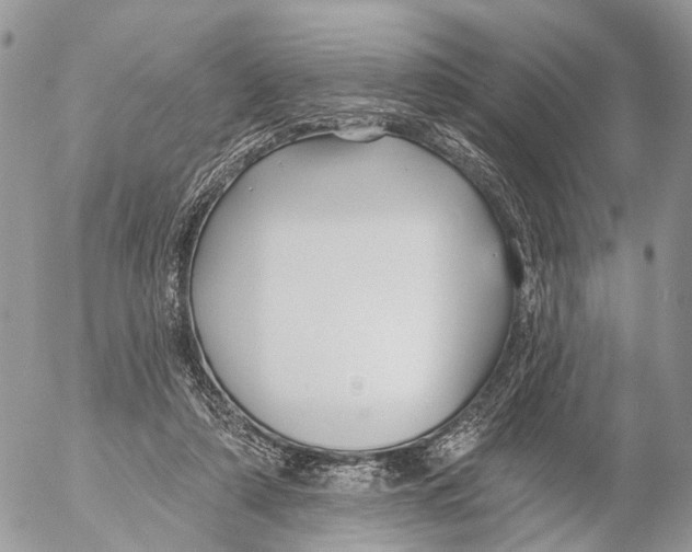 X0000053060306200508081201