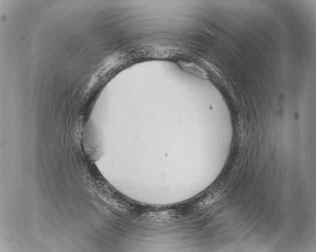 X0000053060307200508081201