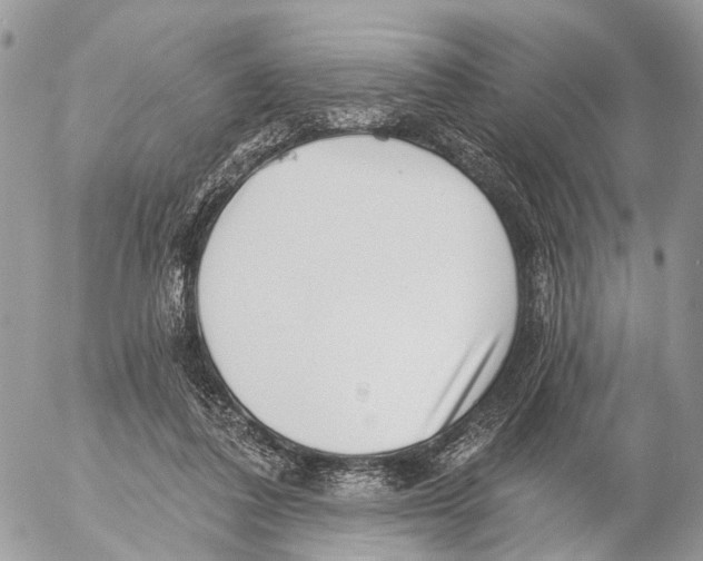 X0000053060308200508081201