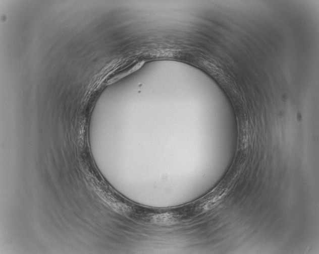 X0000053060309200508081201