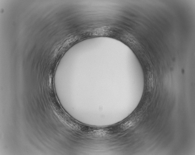 X0000053060310200508081201