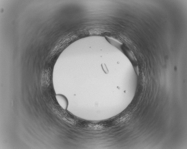 X0000053060311200508081201