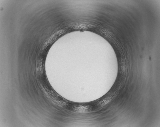 X0000053060312200508081201