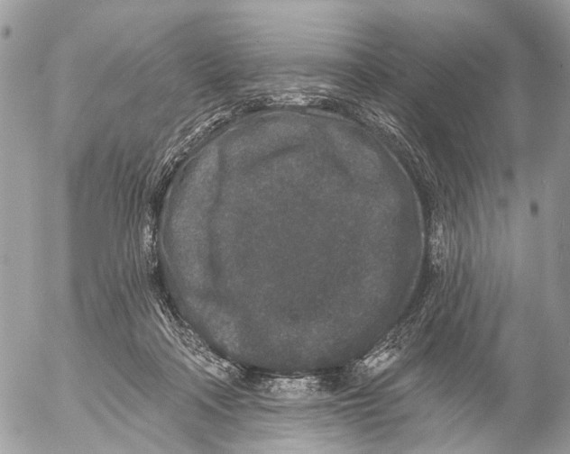 X0000053060314200508081201