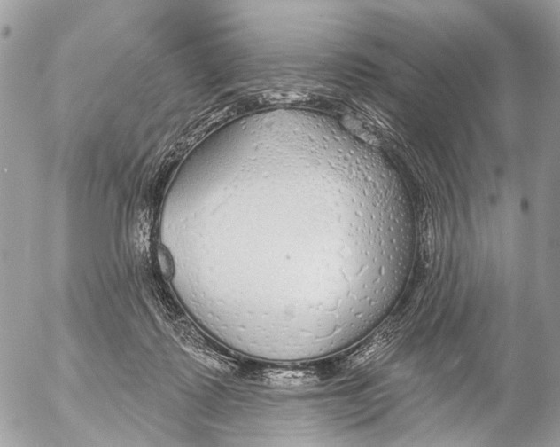 X0000053060315200508081201