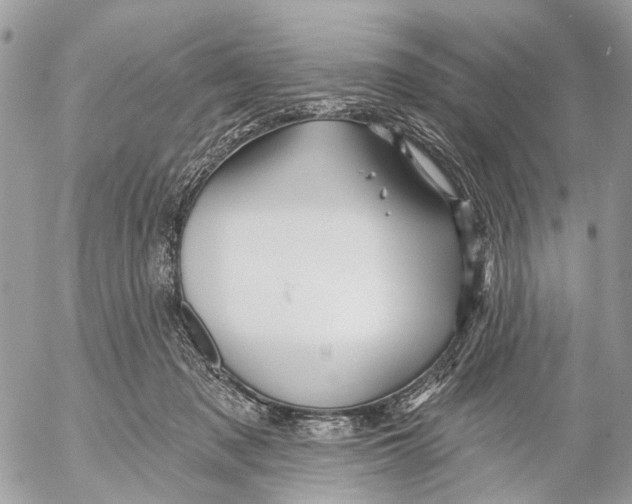 X0000053060317200508081201