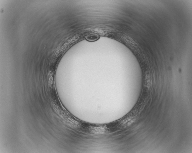 X0000053060318200508081201