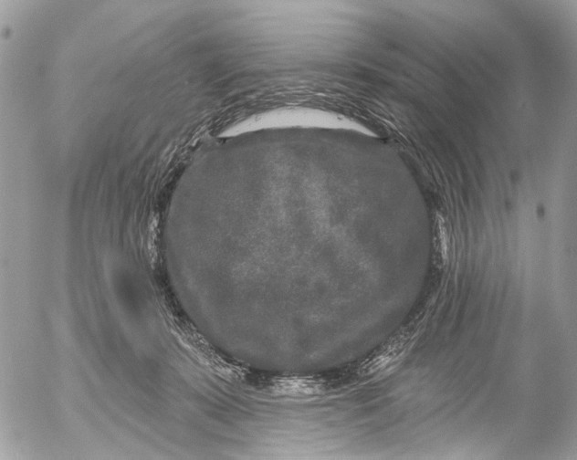 X0000053060319200508081201