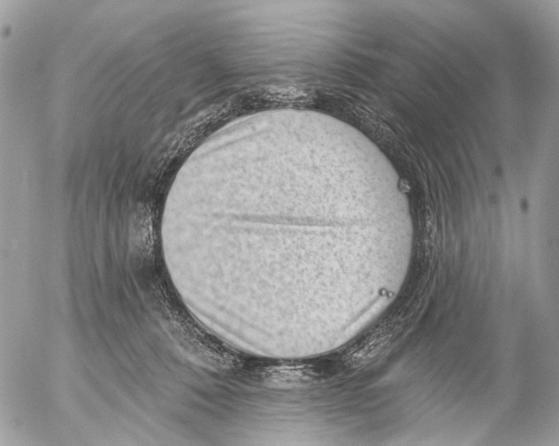 X0000053060320200508081201