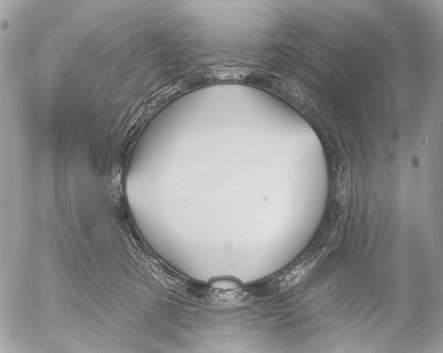 X0000053060321200508081201