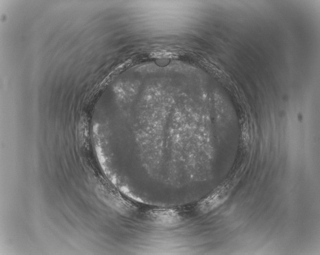 X0000053060322200508081200