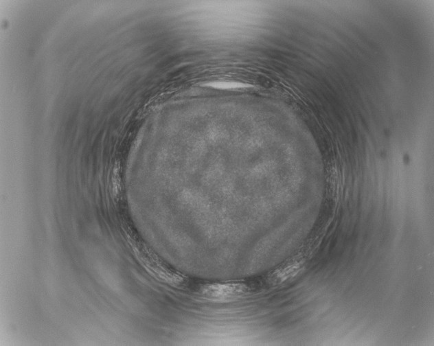 X0000053060323200508081200