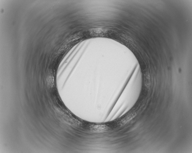 X0000053060324200508081200