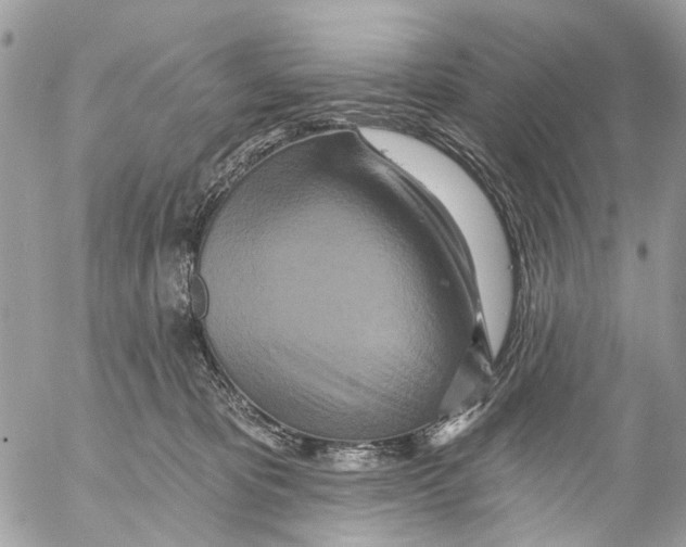 X0000053060325200508081200