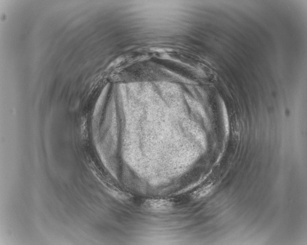 X0000053060327200508081200