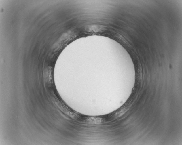 X0000053060328200508081200