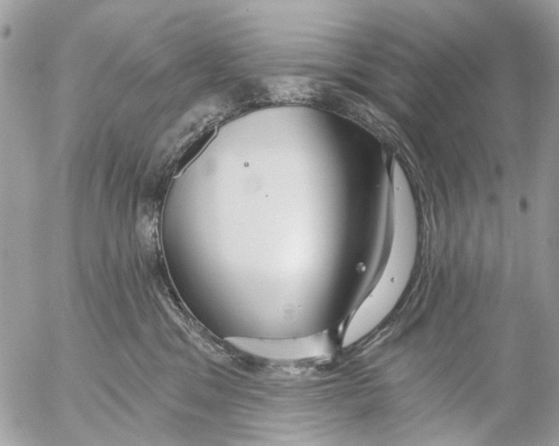 X0000053060329200508081200