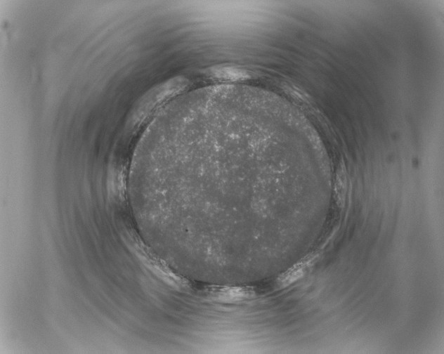 X0000053060330200508081200