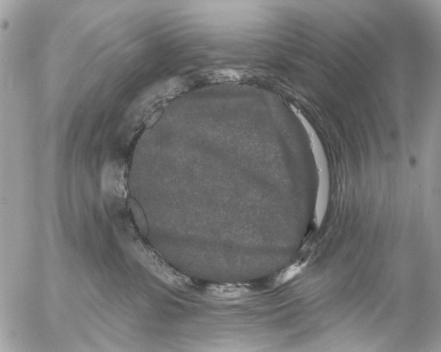 X0000053060331200508081200