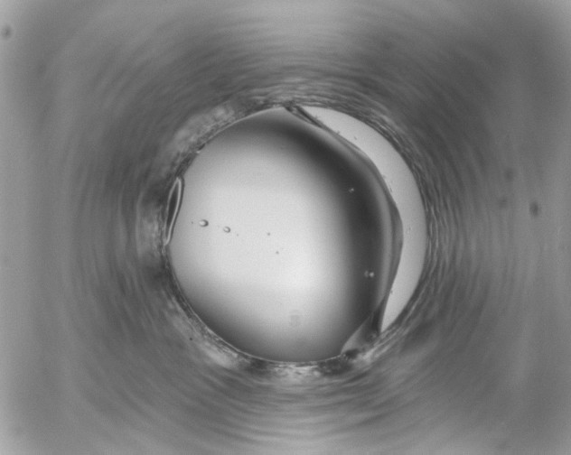 X0000053060333200508081200