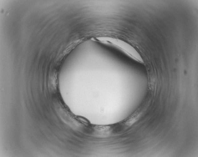 X0000053060334200508081200