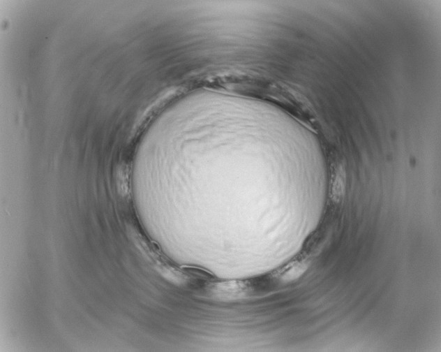 X0000053060335200508081200