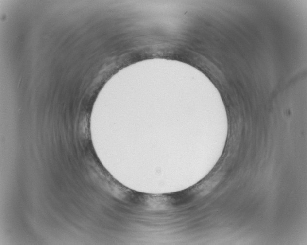 X0000053060336200508081200