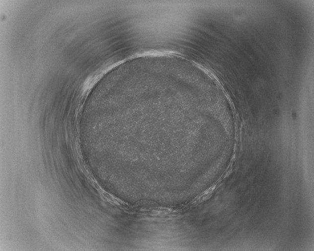 X0000053060337200508081159