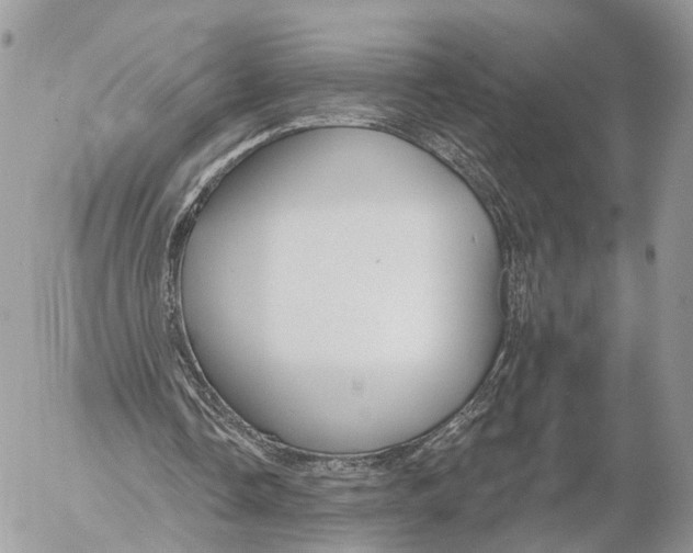 X0000053060338200508081159