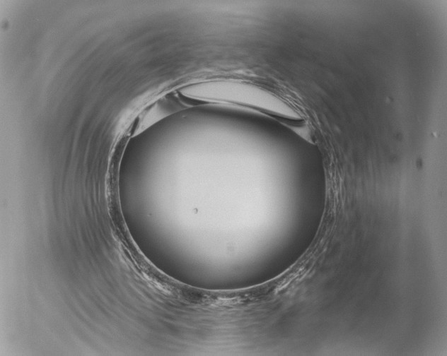 X0000053060340200508081200