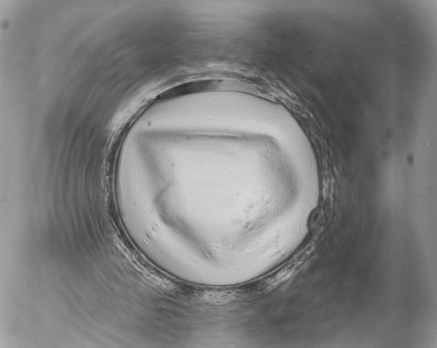 X0000053060341200508081200