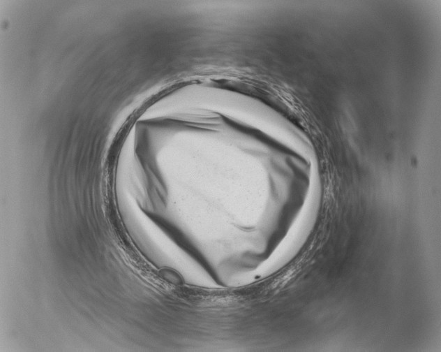 X0000053060342200508081200