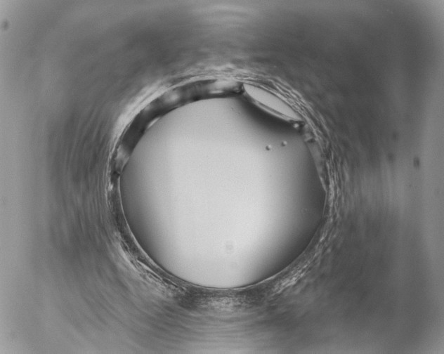 X0000053060344200508081200