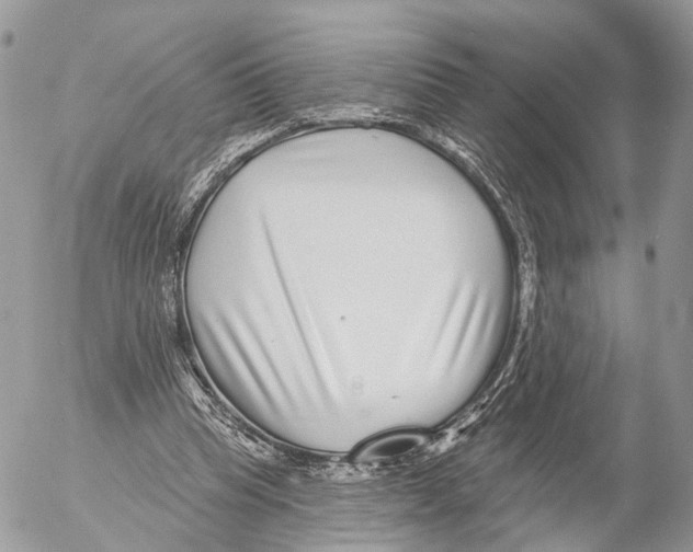 X0000053060345200508081200