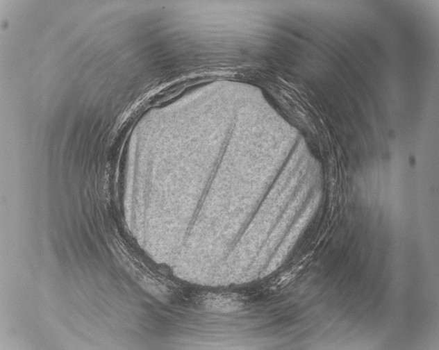 X0000053060346200508081200