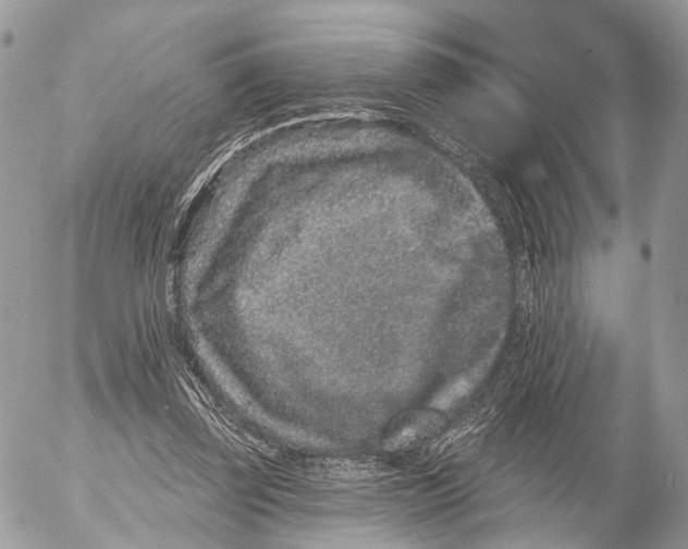 X0000053060347200508081200