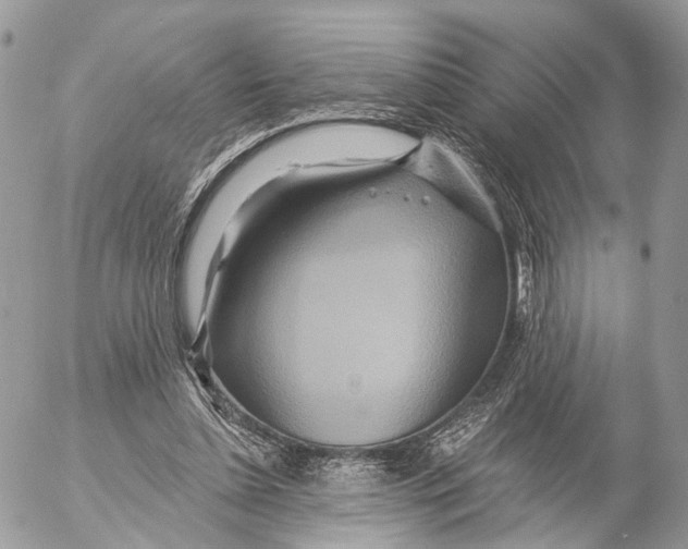 X0000053060348200508081200