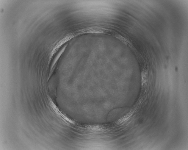 X0000053060349200508081200