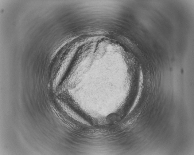 X0000053060351200508081200