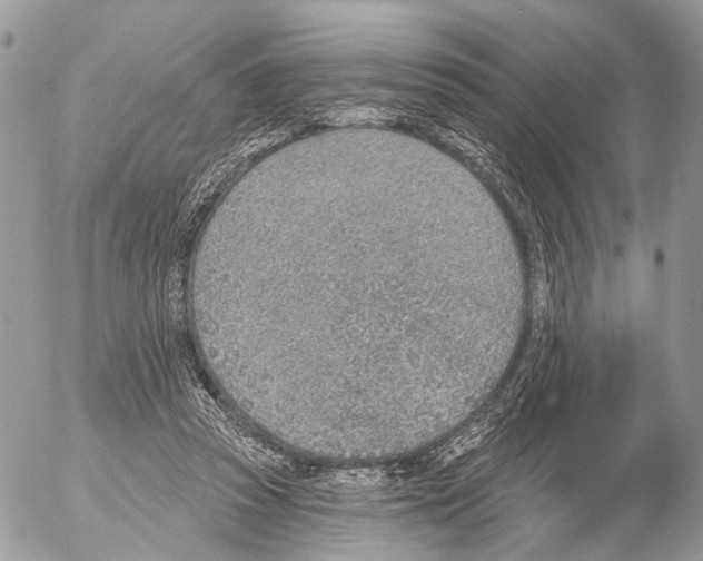 X0000053060353200508081200