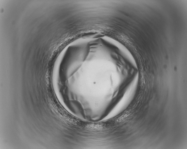 X0000053060354200508081200