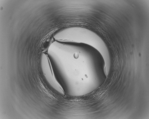 X0000053060356200508081200