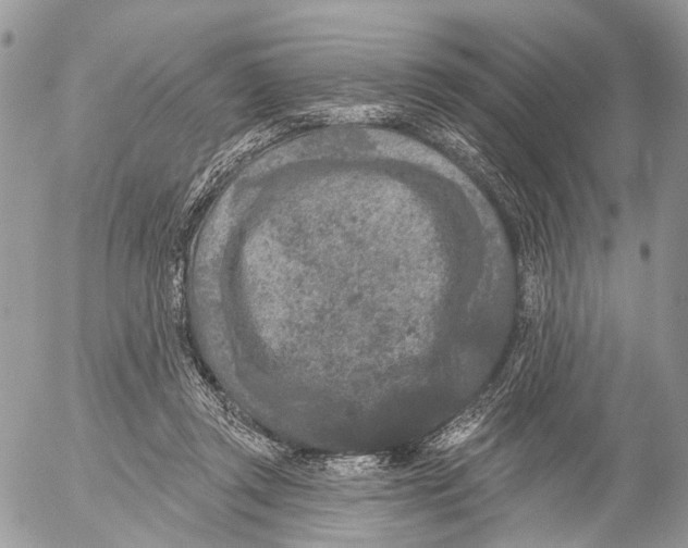 X0000053060357200508081200