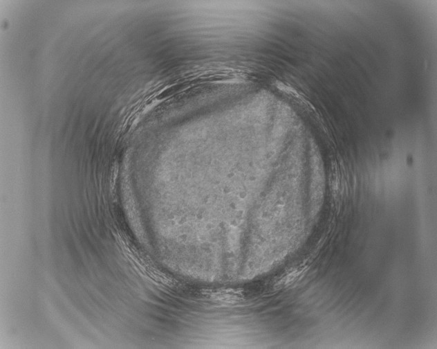 X0000053060359200508081200