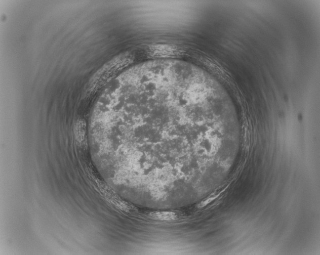 X0000053060361200508081200