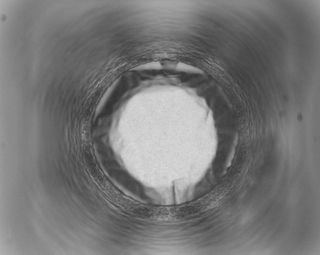 X0000053060363200508081200