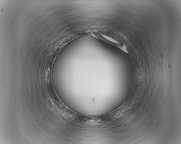 X0000053060364200508081200