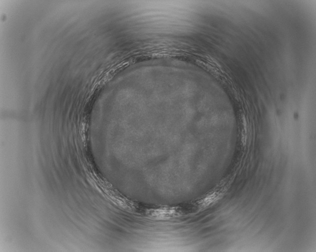 X0000053060366200508081200