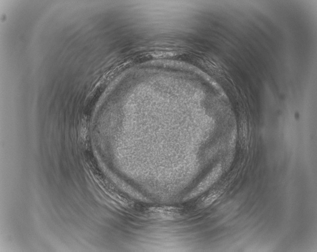 X0000053060367200508081200