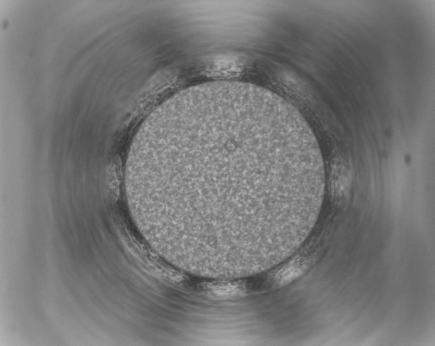 X0000053060370200508081200